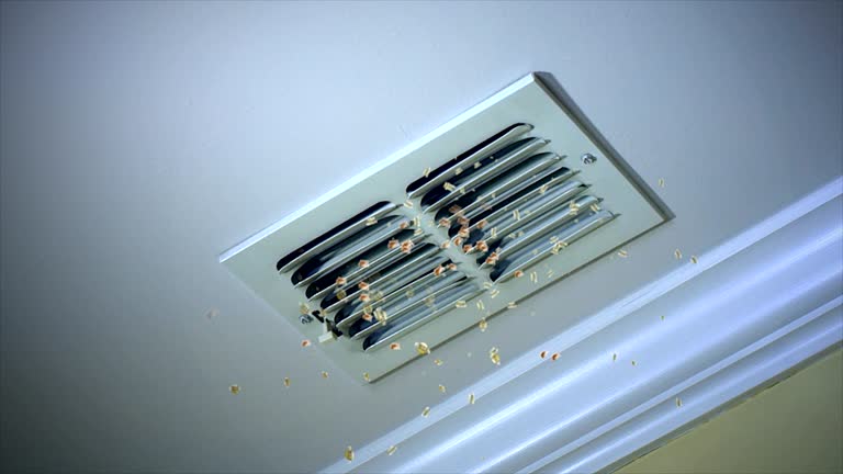 Best Home Air Vent Cleaning  in Deer Lodge, MT