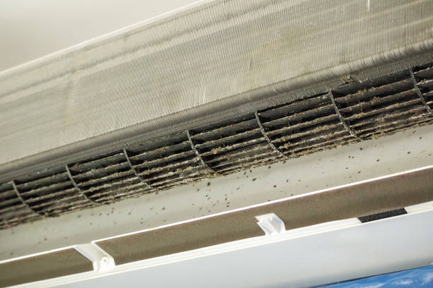 Best Affordable HVAC Duct Cleaning  in Deer Lodge, MT